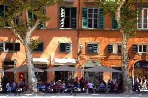 We are continually refining and adding to our portfolio of Nice Places to stay in Italy, so visit our site regularly to find somewhere just that little bit special. All our places to stay are presented with photos and descriptions taken and selected by us personally to give an impression as true to the reality as we can. All places are chosen by our team here in Italy for their combination of price, quality, charm and location. We work in partnership with family run hotels, guest houses and self-catering accommodations. This is NOT an unverified 'web portal' or online directory - we select only those places which we believe make excellent places to base a 1 week holiday or longer.